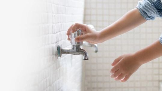    Фото: myboys.me/Shutterstock/Fotodom