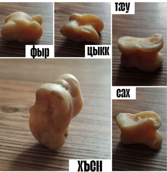 Рис. 1. Альчик и названия его сторон (фото из открытого доступа).