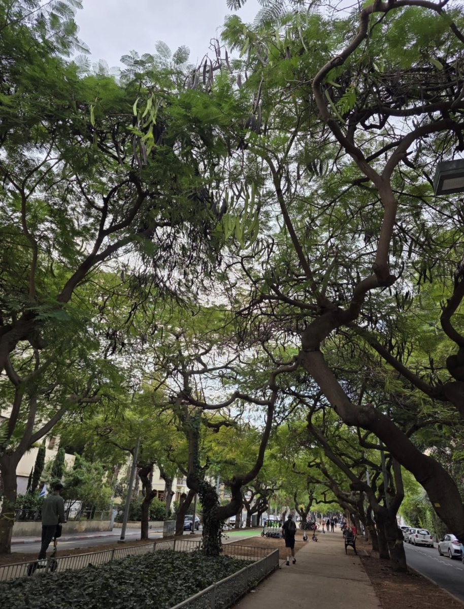 Фото автора, декабрь 2025 г