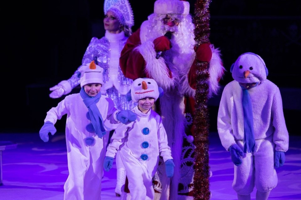    В Рязани покажут новогоднее цирковое шоу с уникальными трюками.