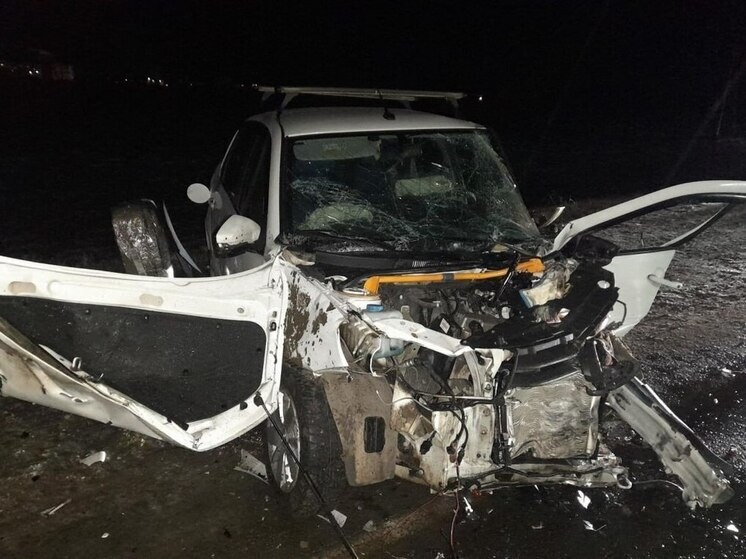     Источник: Госавтоинспекция Тамбовской области