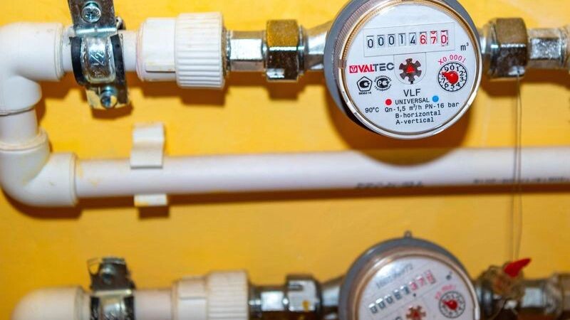    Фото: Evgenii Panov / Shutterstock / Fotodom