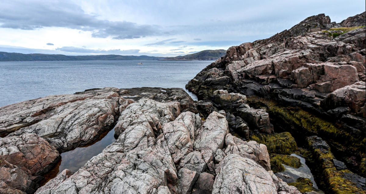 Фото: Лев Федосеев/ТАСС