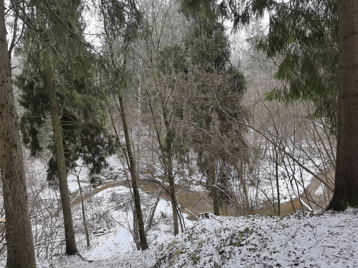 Внизу речка Сходня