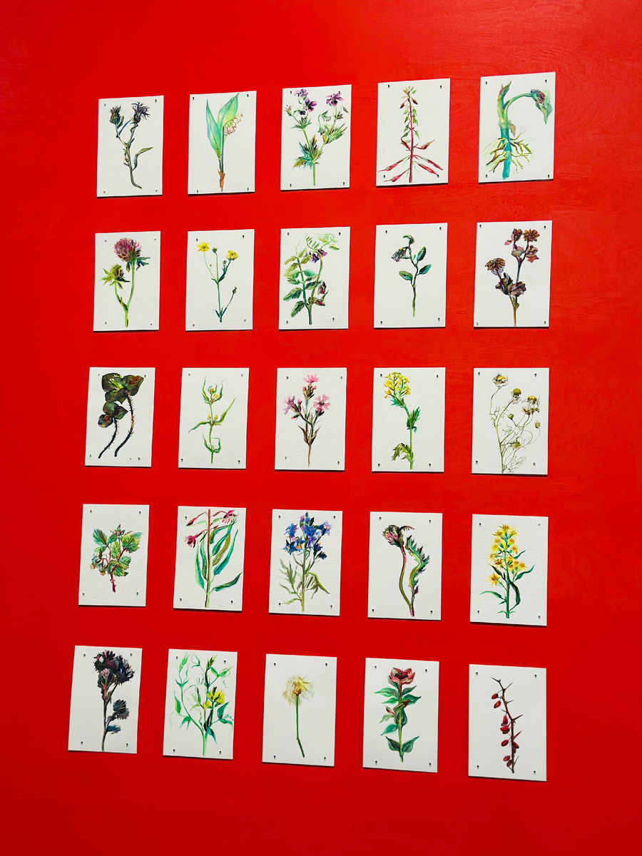 Фото автора канала