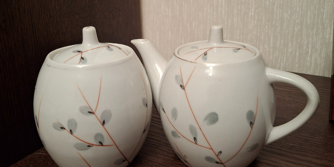 Верба в декабре