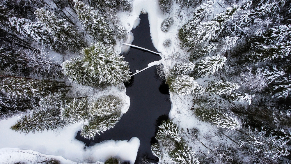 @Evgeny Kuleshov/Shutterstock