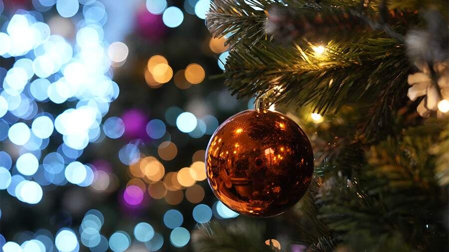    Фото: ИЗВЕСТИЯ/Дмитрий Коротаев