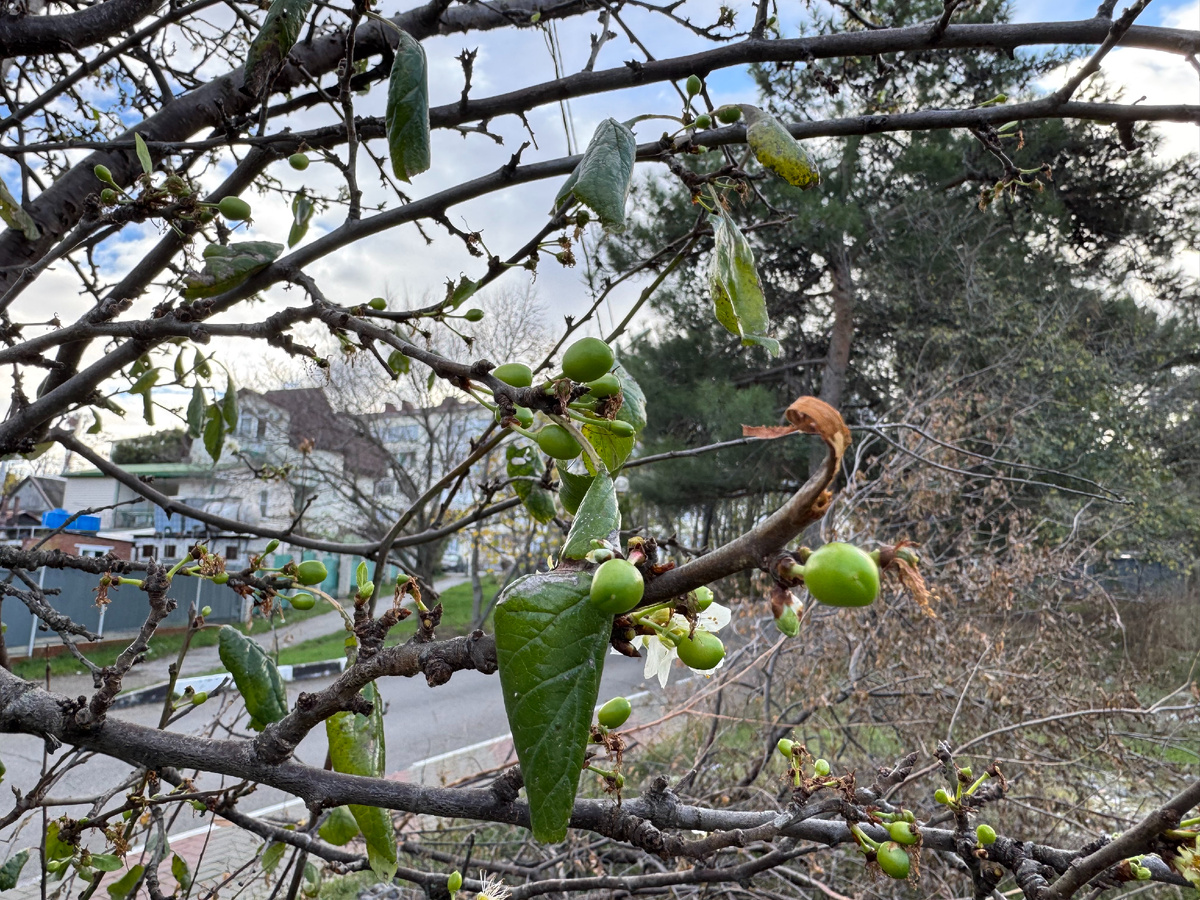 Фото автора