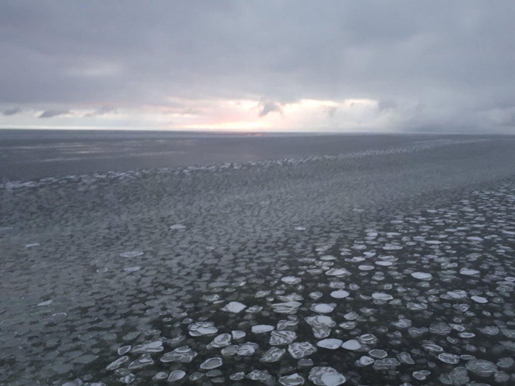    Блинчатый лед в море Лаптевых