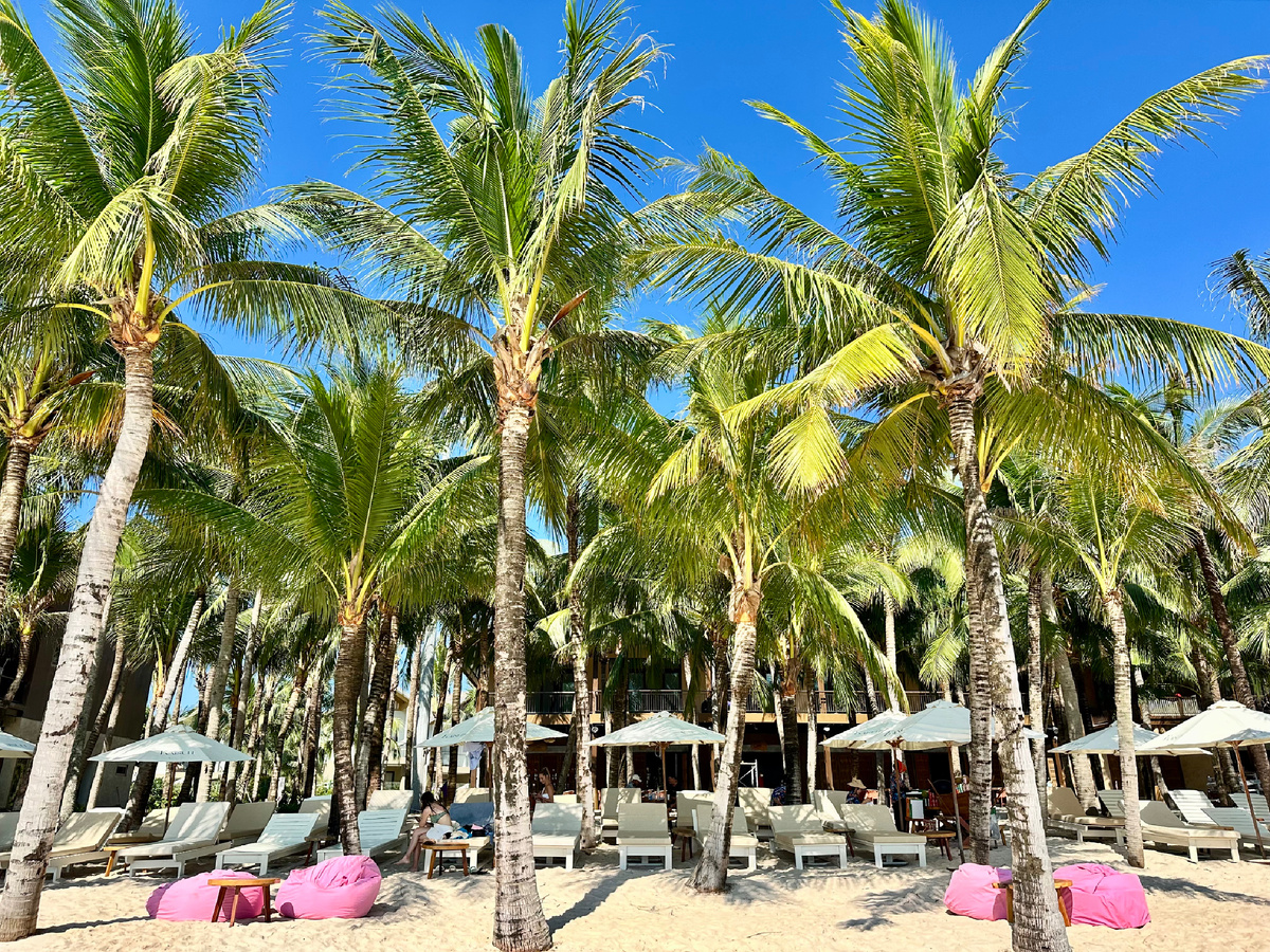 Зеленые пальмы и солнце в середине суровой зимы. Рай.