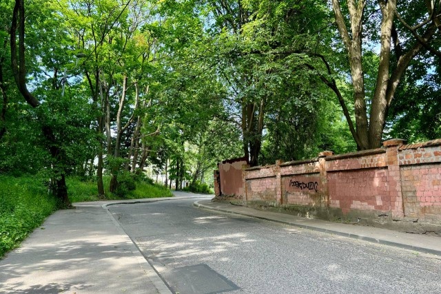   Фото из архива Калининград.Ru