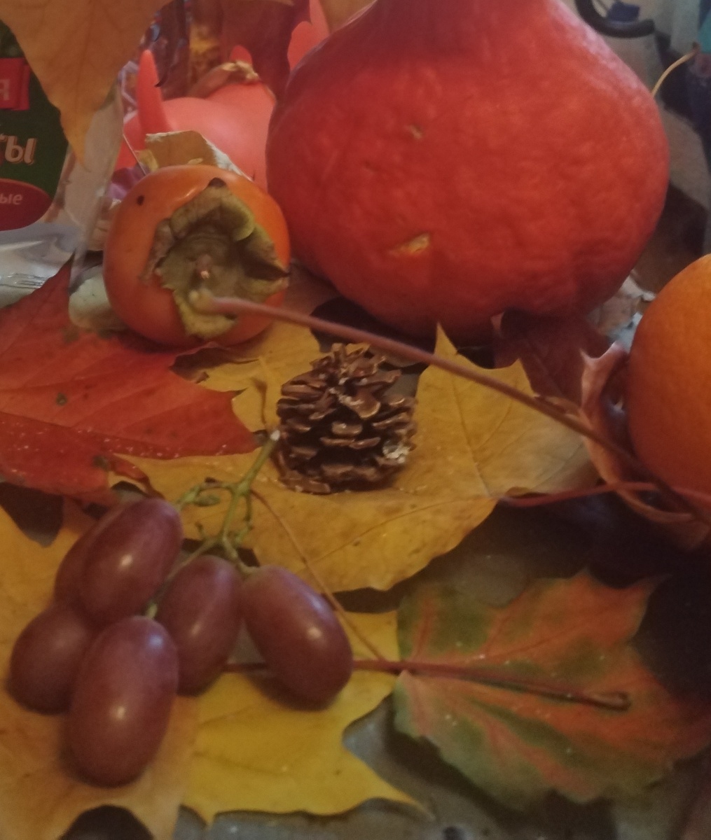 ОСЕННИЙ НАТЮРМОРТ ОТ ВНУЧЕК! из личных фото автора Лидии Шатиловой