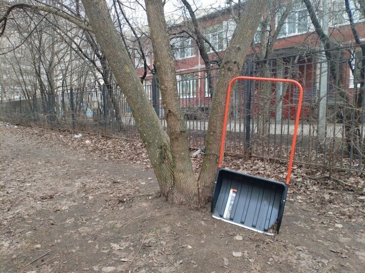     В декабре индийские рабочие приступили непосредственно к своим обязанностям и начали убирать улицы Приморского района. Фото: архив МК в Питере.