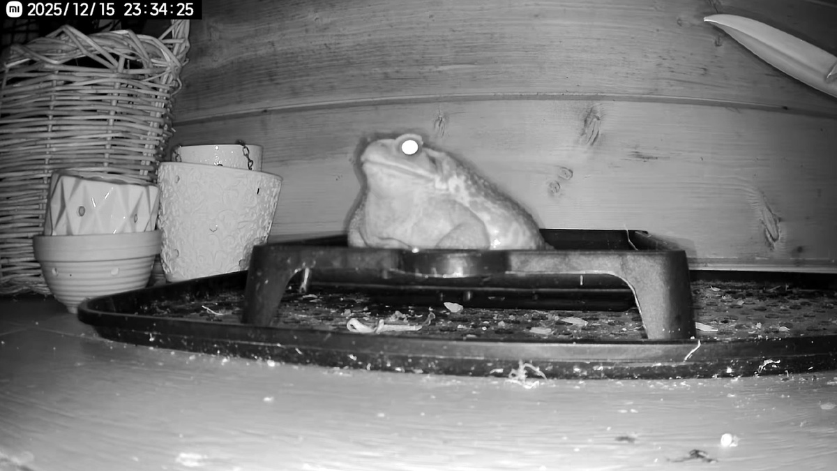 Пора идти давить!