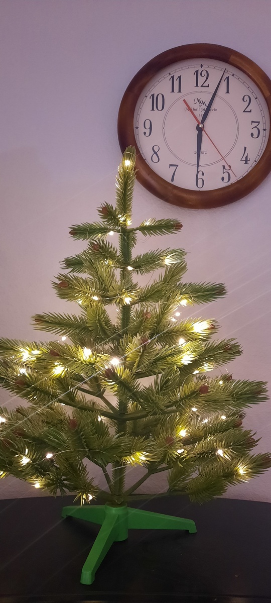 Этой ёлочке 30 лет