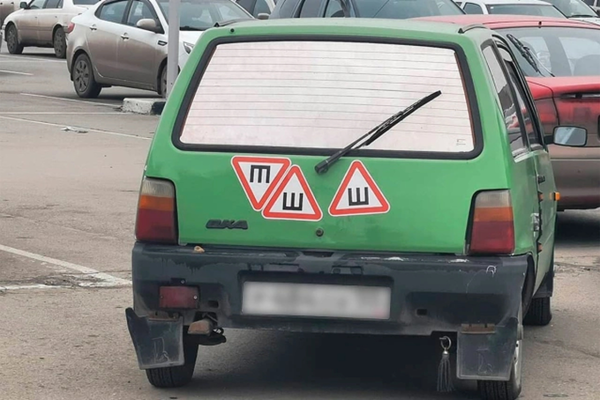    Фото: lynx_y / Instagram (принадлежит компании Metа, которая признана в России экстремистской организацией и запрещена)