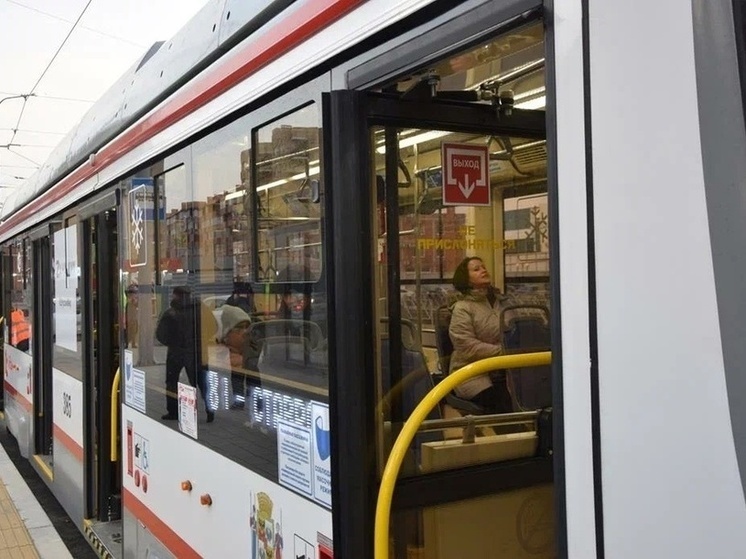     Фото: "МК на Кубани"