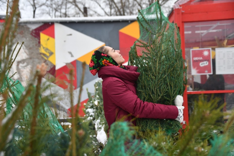    В Рязани уже работают шесть елочных базаров. Евгения ГУСЕВА