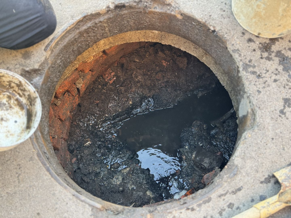    Фото: МедиаБанк Подмосковья/Татьяна Рунова