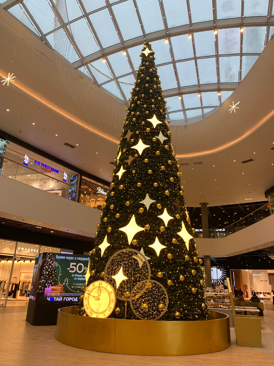 Фото сделано автором. 