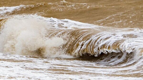    © Sputnik / Дмитрий Макеев