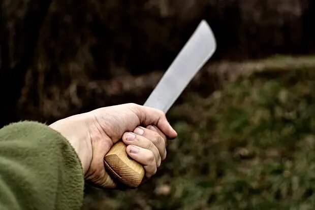    Фото: lenta.ru Полина Белоусова