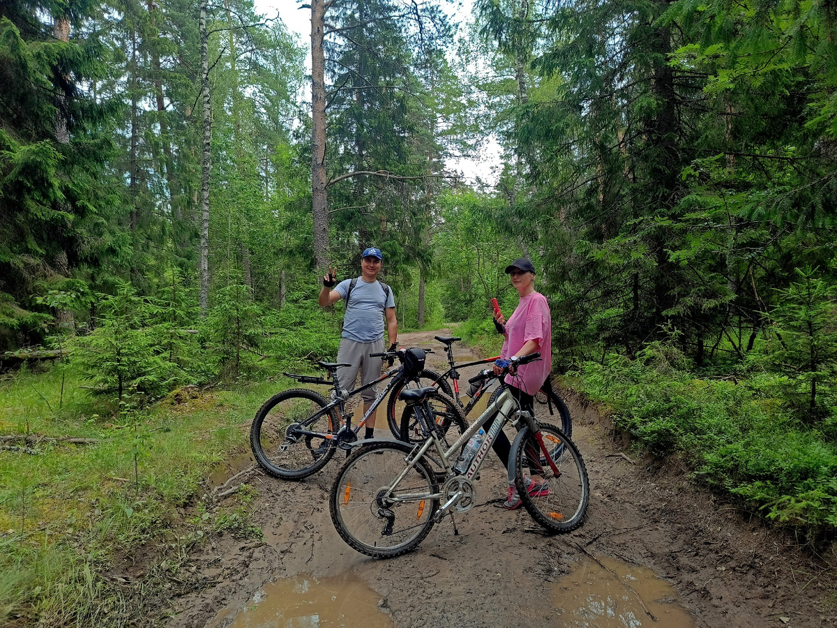 В лесу по пути в Махру