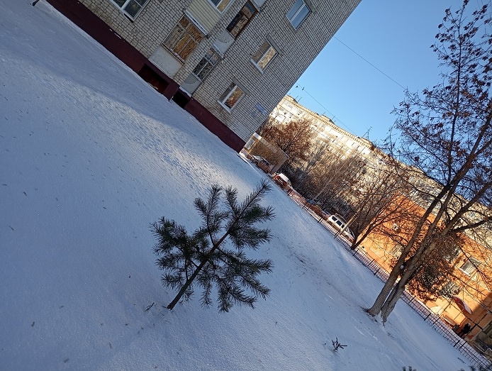 Нижний Новгород, 15 декабря 2025