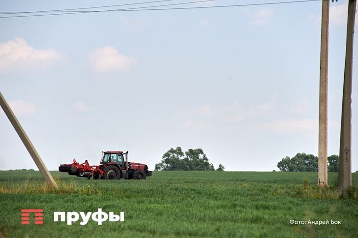    Фото: Пруфы