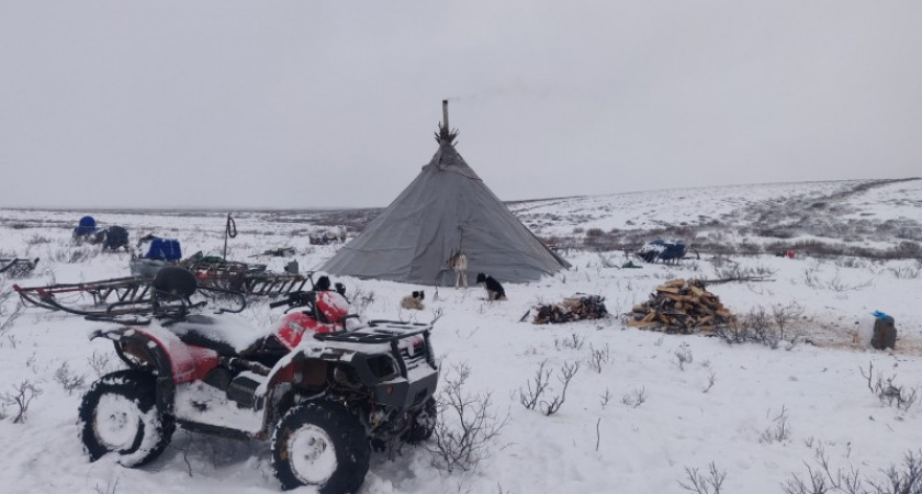    Фото Минсельхоза Коми