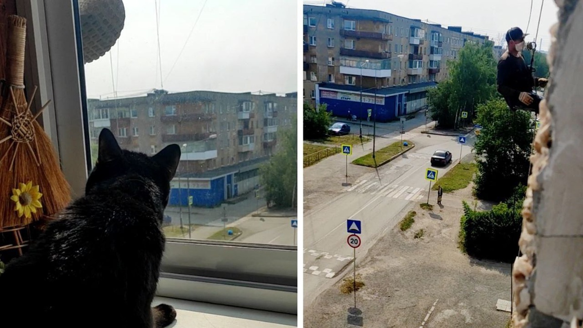 Порш просто дар речи потерял, когда увидел человека "за бортом". ЕЩЕ ФОТО -->>