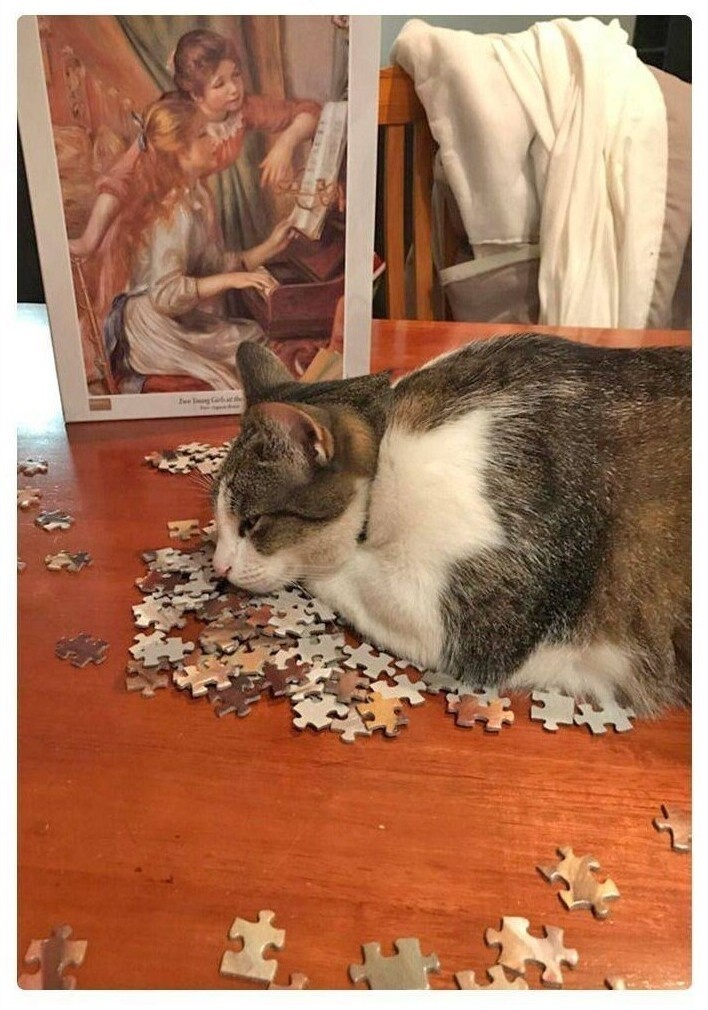 Источник: ebaumsworld.com