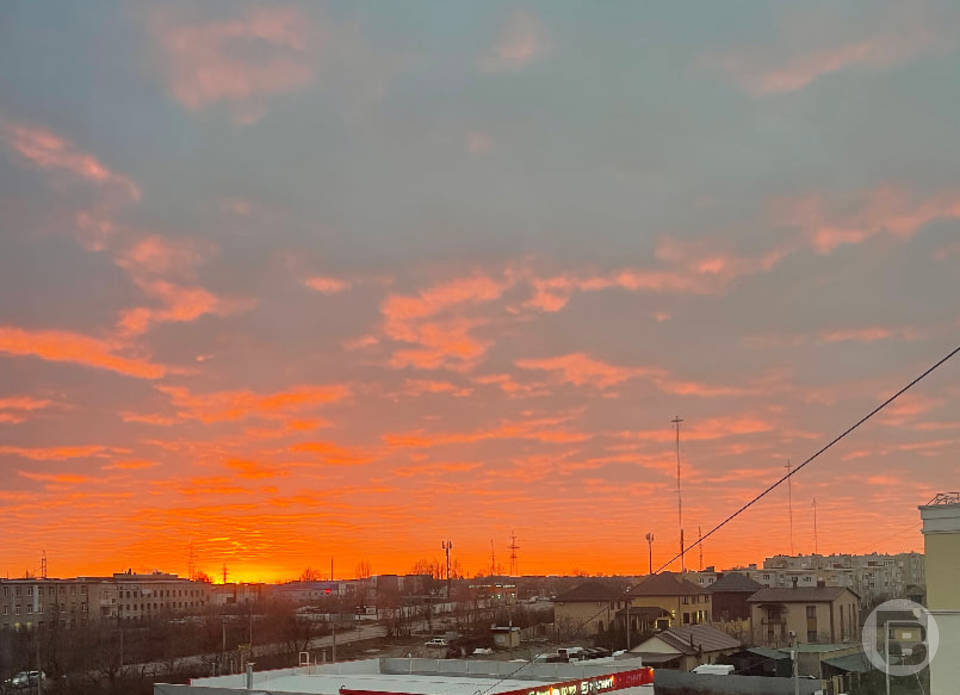    Фото: "Городские вести"