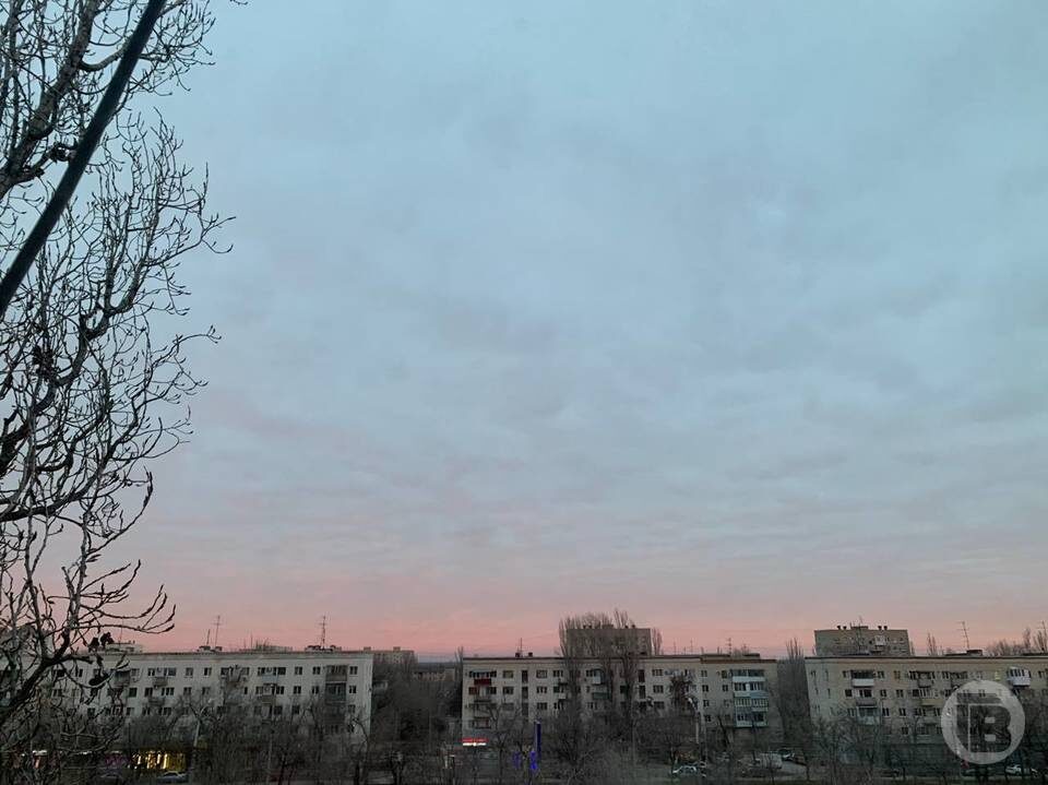    Фото: "Городские вести"