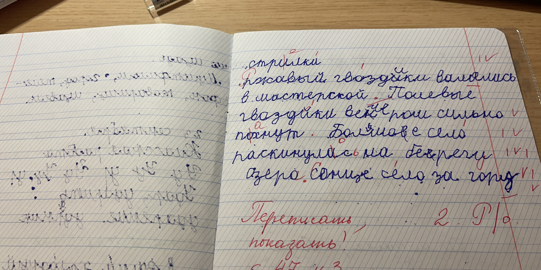 Почему и как доминация правого полушария разрушает навыки чтения и письма