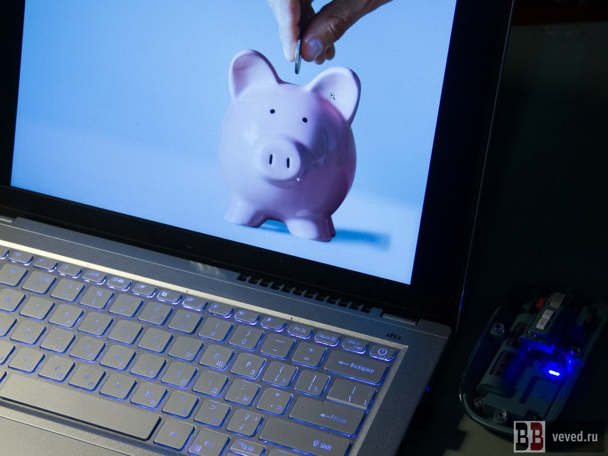     Иллюстрация: Андрей Гоголев / Вечерние Ведомости