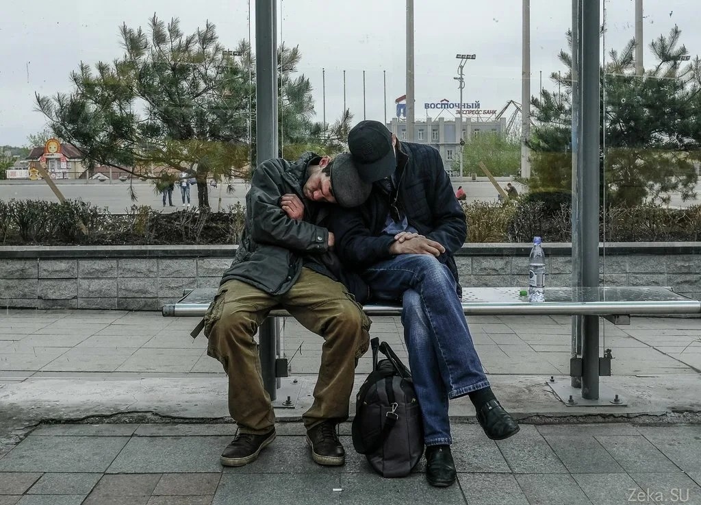 Приятели устроились на скамейке. Фото в свободном доступе в интернете.