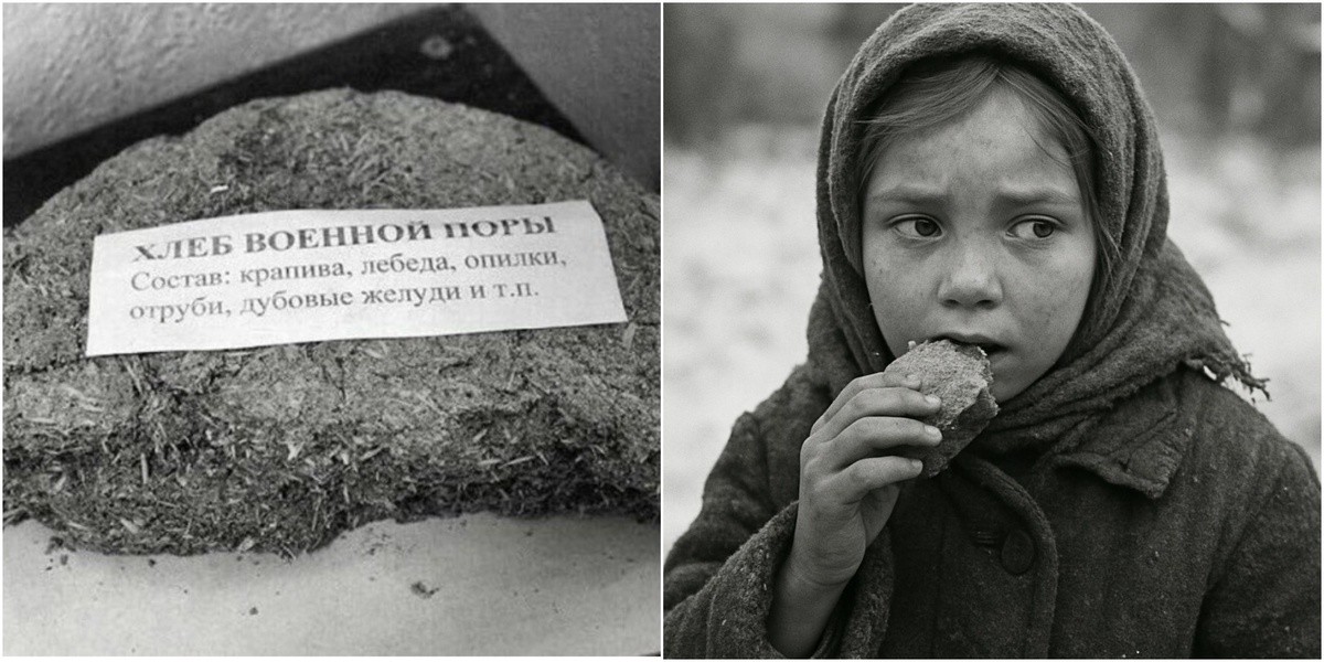 Древесная пища в истории