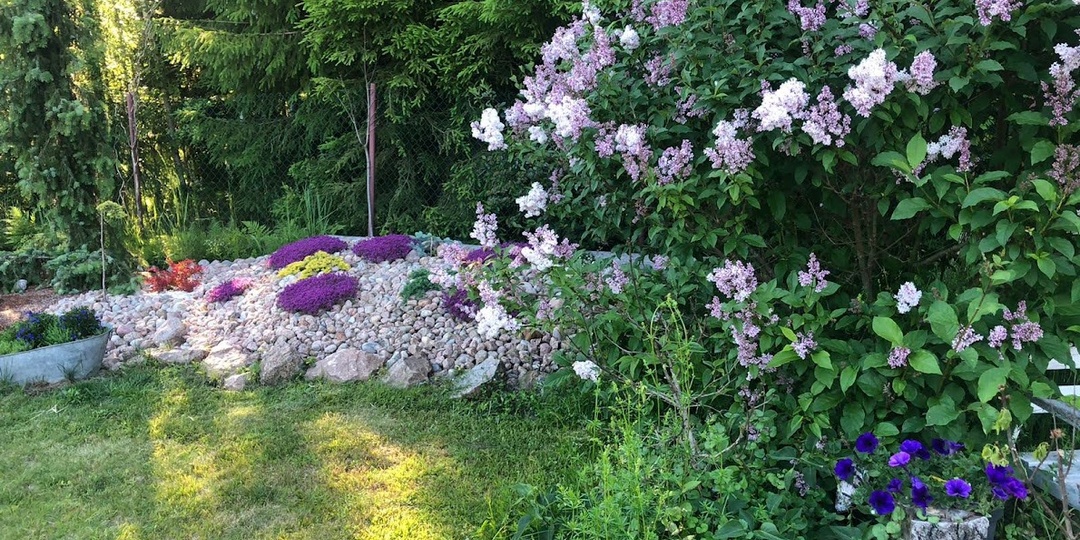 Альпийская горка? Нет, холм