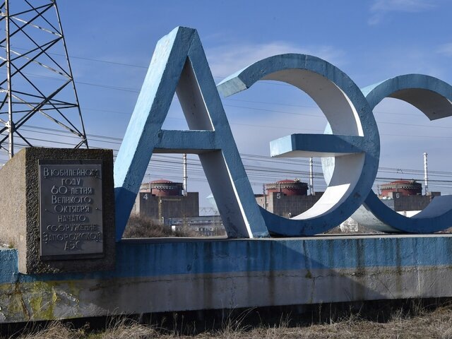    Фото: РИА Новости/Константин Михальчевский