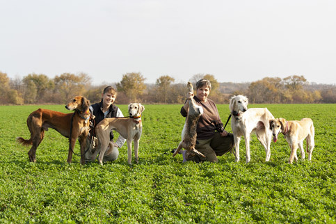 Сэхра Эль Амир, Сэхра Эль Мен Лелап, Сэхра Эль Арман Мирас, маленькая Сэхра Эль Шан