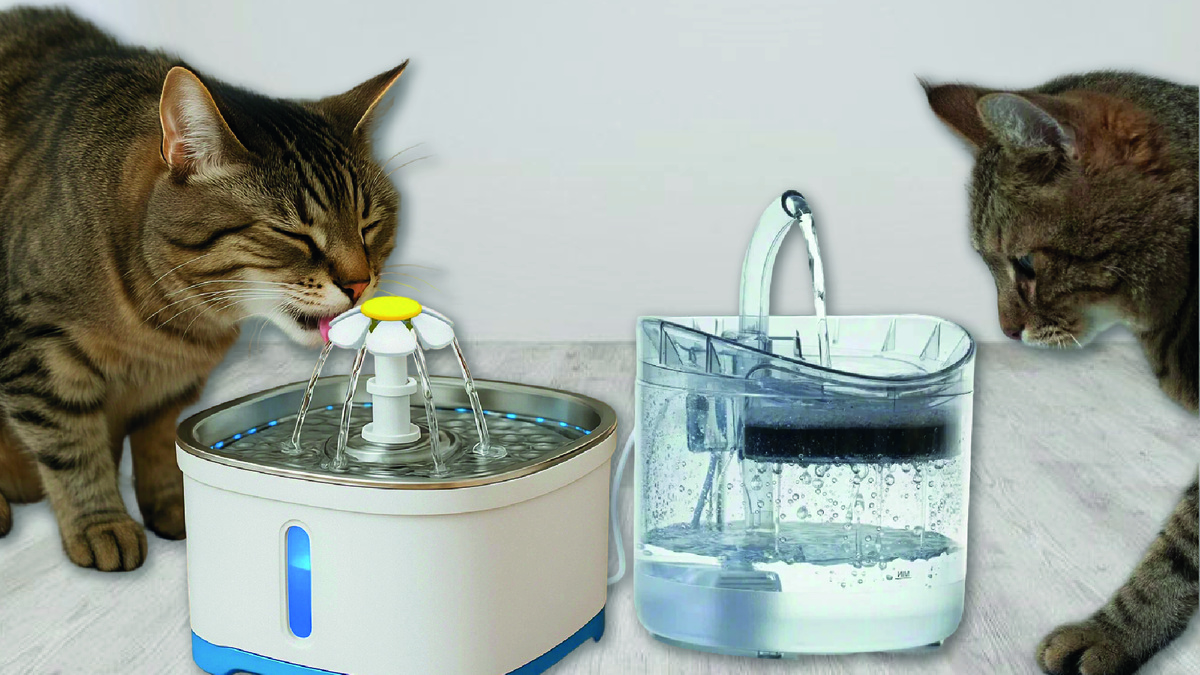 Автоматическая поилка фонтанчик для кошек.