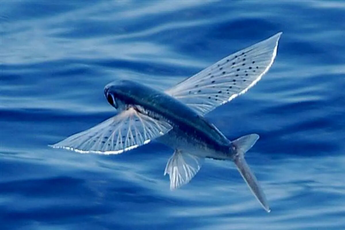 Фотография из интернета