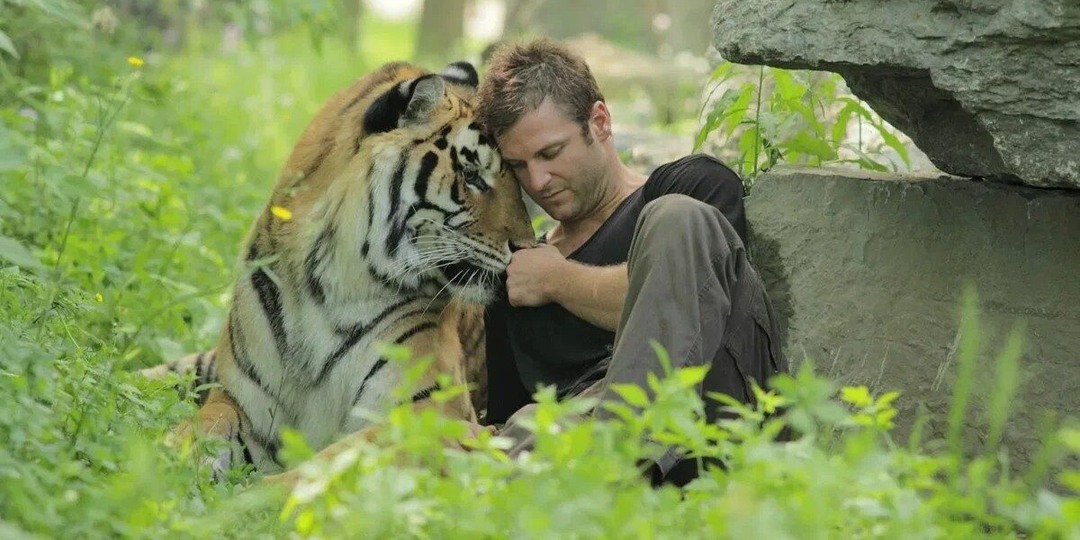 Один шанс из тысячи