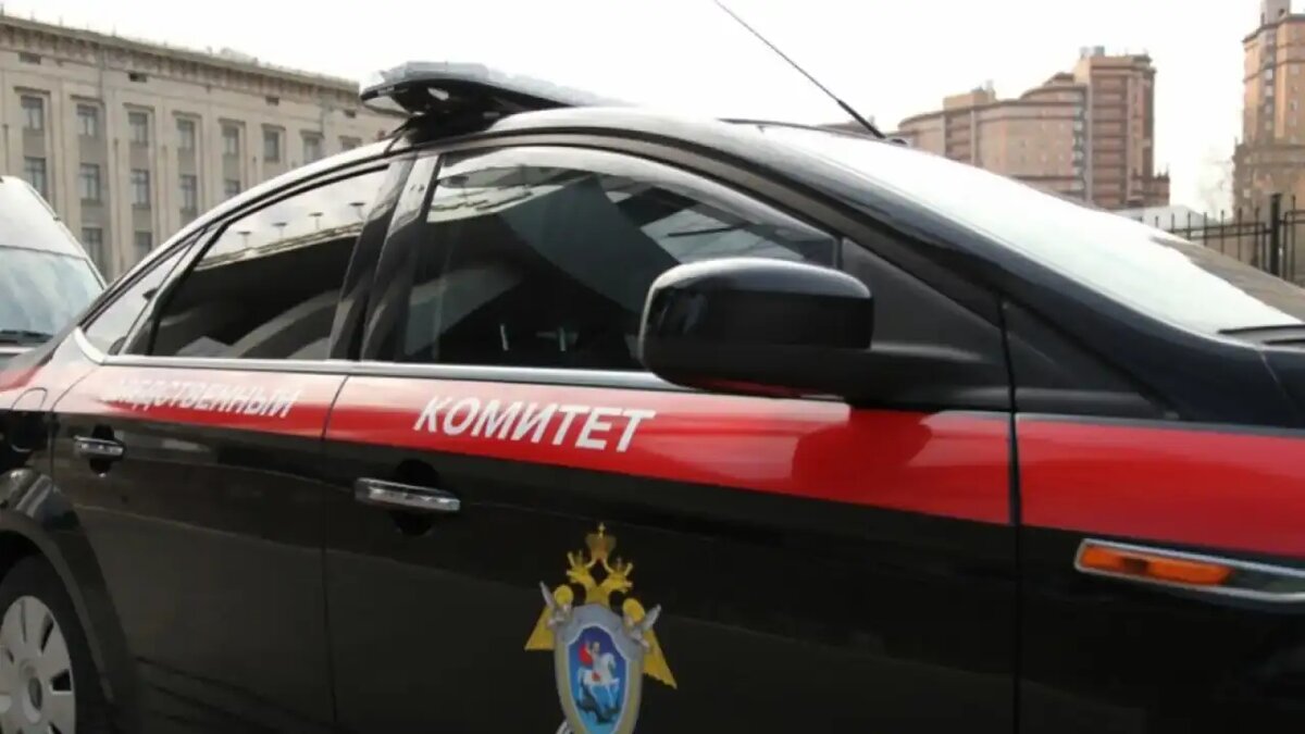    Следственный комитет России. © СК РФ