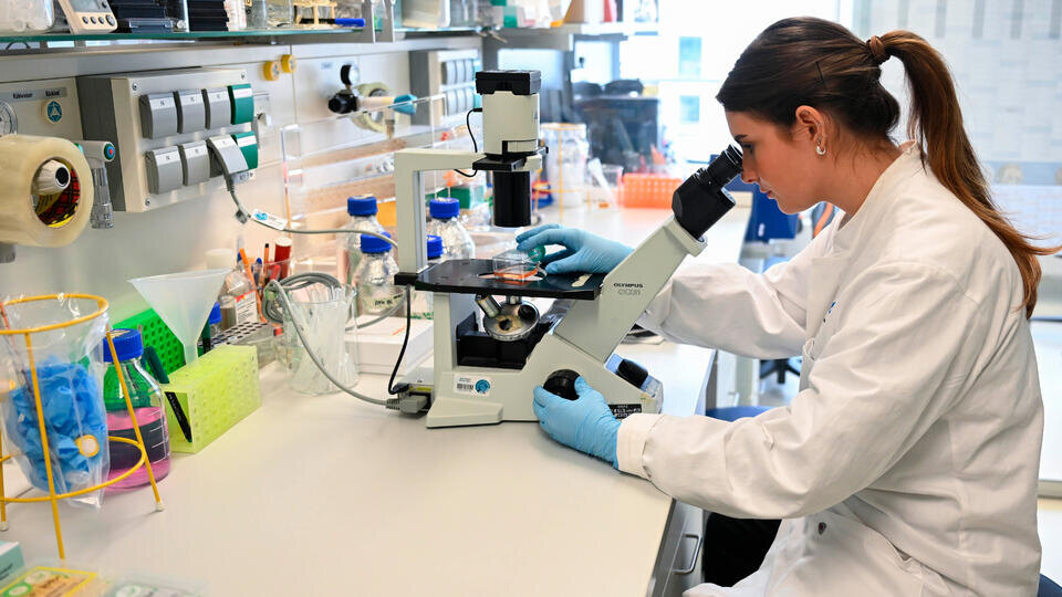     Генетики обнаружили связь между ДНК древних охотников и долголетием www.globallookpress.com/Bernd WeiÃŸbrod/dpa