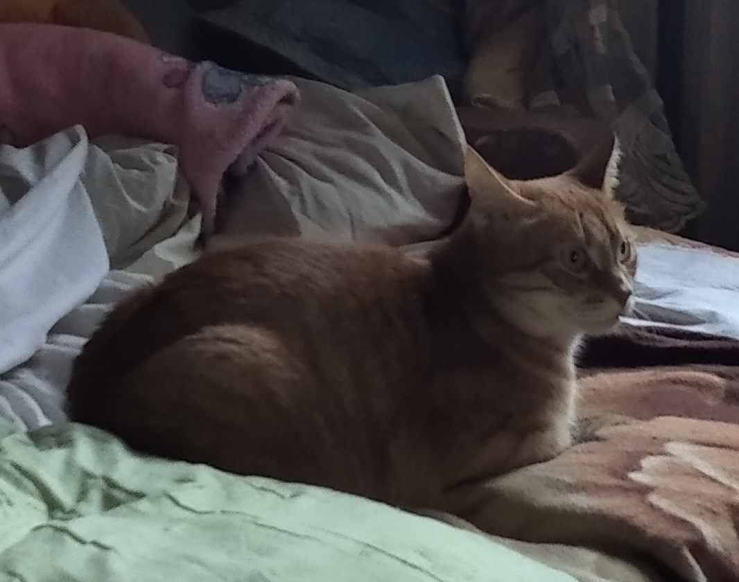 личное  фото