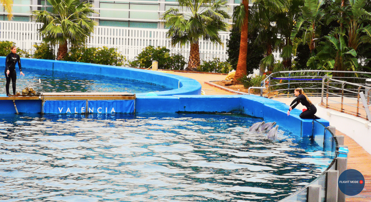 #что посмотреть #где погулять #куда сходить в Валенсии