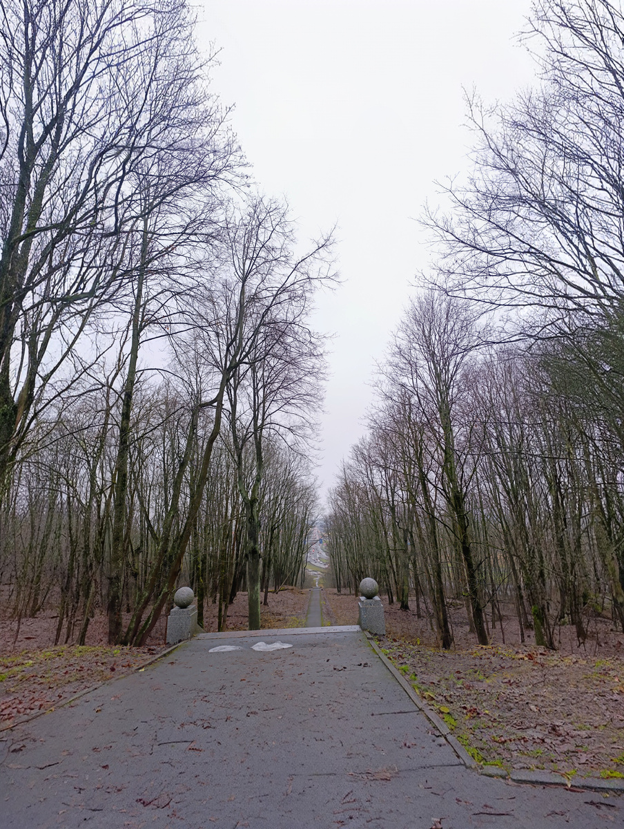 Вид со смотровой площадки 